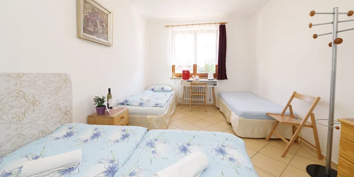 Aktívna dovolenka na Šumave: hotel v Hartmaniciach s raňajkami alebo polpenziou