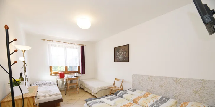 Aktívna dovolenka na Šumave: hotel v Hartmaniciach s raňajkami alebo polpenziou