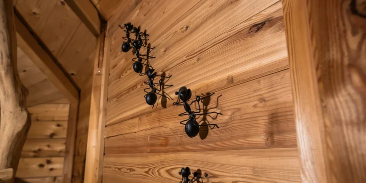 Treehouse na okraji Brna: ubytovanie v súlade s prírodou aj úniková šifrovacia hra pre zábavu