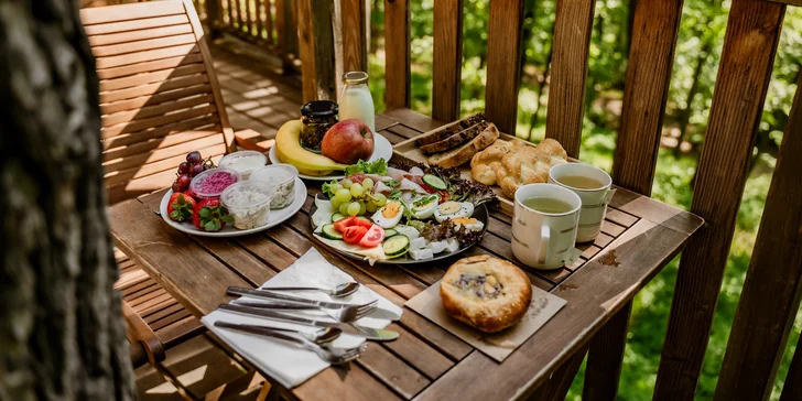 Treehouse na okraji Brna: ubytovanie v súlade s prírodou aj úniková šifrovacia hra pre zábavu