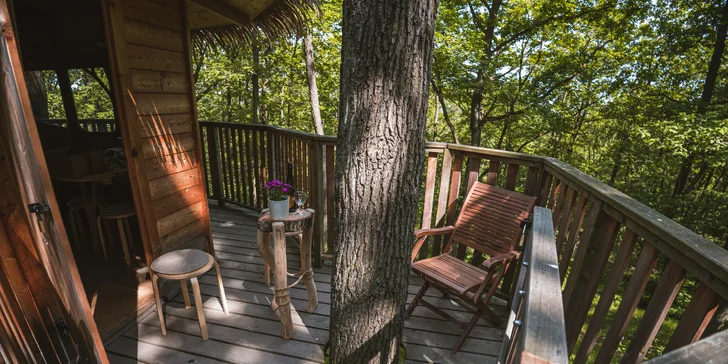 Treehouse na okraji Brna: ubytovanie v súlade s prírodou aj úniková šifrovacia hra pre zábavu