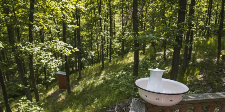 Treehouse na okraji Brna: ubytovanie v súlade s prírodou aj úniková šifrovacia hra pre zábavu
