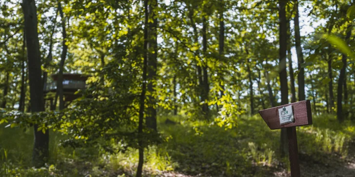 Treehouse na okraji Brna: ubytovanie v súlade s prírodou aj úniková šifrovacia hra pre zábavu