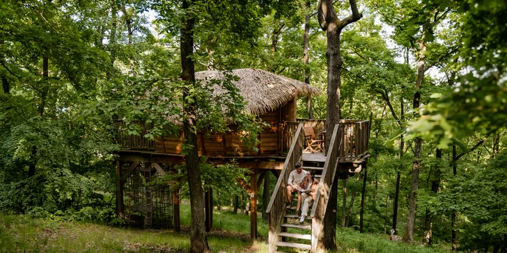 Treehouse na okraji Brna: ubytovanie v súlade s prírodou aj úniková šifrovacia hra pre zábavu