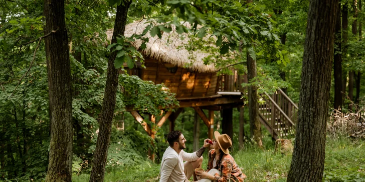 Treehouse na okraji Brna: ubytovanie v súlade s prírodou aj úniková šifrovacia hra pre zábavu