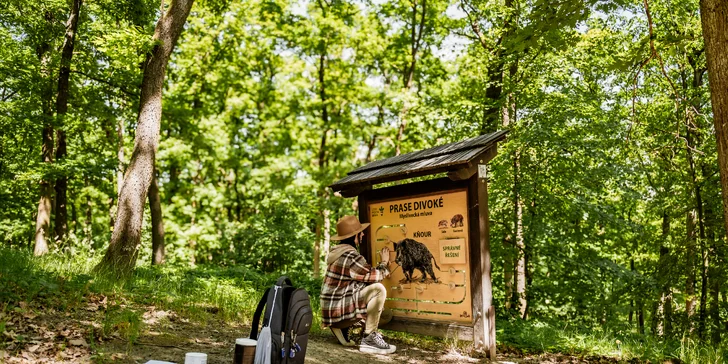 Treehouse na okraji Brna: ubytovanie v súlade s prírodou aj úniková šifrovacia hra pre zábavu