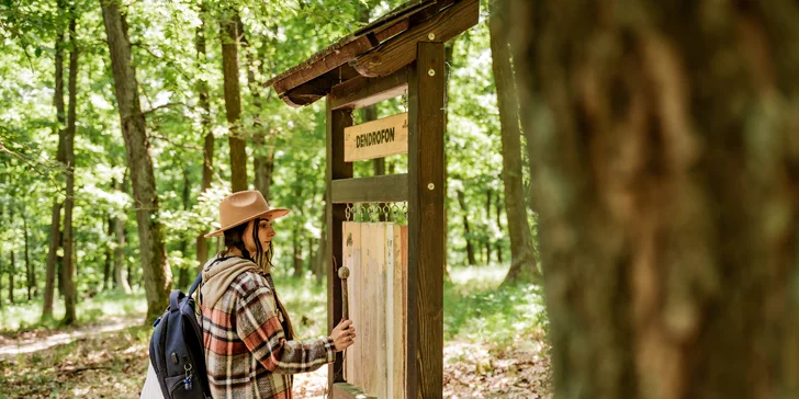 Treehouse na okraji Brna: ubytovanie v súlade s prírodou aj úniková šifrovacia hra pre zábavu