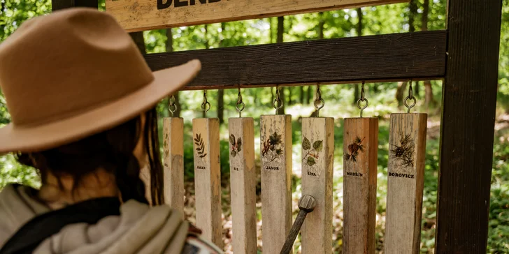 Treehouse na okraji Brna: ubytovanie v súlade s prírodou aj úniková šifrovacia hra pre zábavu