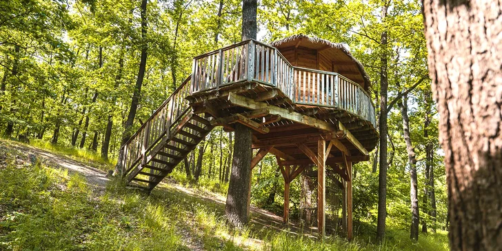 Treehouse na okraji Brna: ubytovanie v súlade s prírodou aj úniková šifrovacia hra pre zábavu