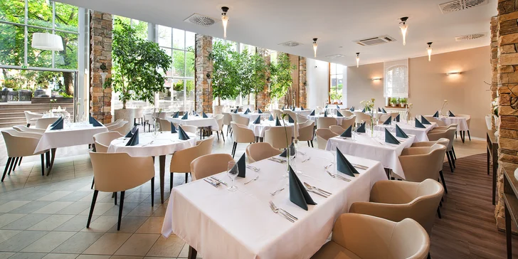 Spoznajte Znojmo: krásny hotel s raňajkami, večerou, vstupom do wellness a možnosťou masáže