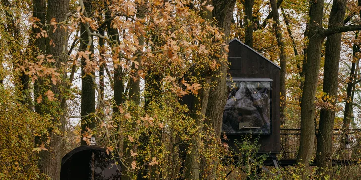 Kúzelný pobyt v treehouse až pre 4 osoby aj vonkajšia sudová sauna