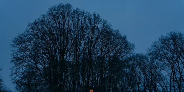 Kúzelný pobyt v treehouse až pre 4 osoby aj vonkajšia sudová sauna
