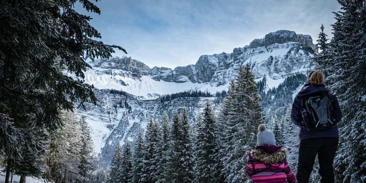 Zima v rakúskych Alpách: regionálna polpenzia, vonkajšia sauna a 1-dňový skipas