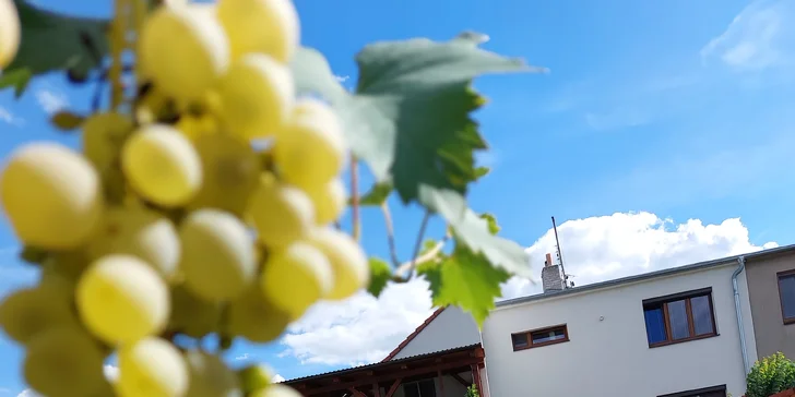 Pohoda pri Novomlynskej nádrži: rodinný penzión, možnosť požičania bicyklov aj aquapark so zľavou