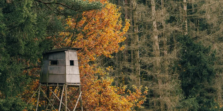 Vybavený tiny house uprostred prírody s vonkajším posedením