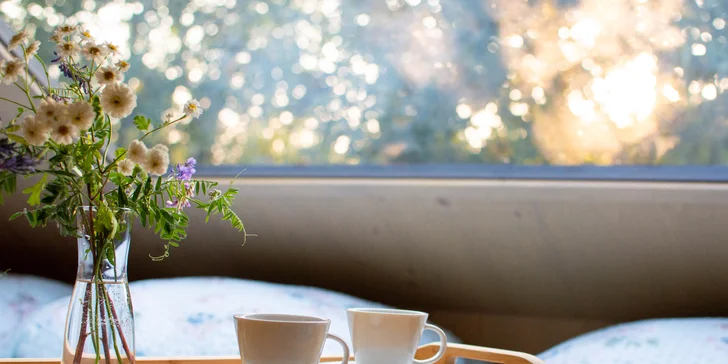 Netradičný pobyt vo vybavenom posede pri Žďárských vrchoch a Železných horách až pre 5 osôb