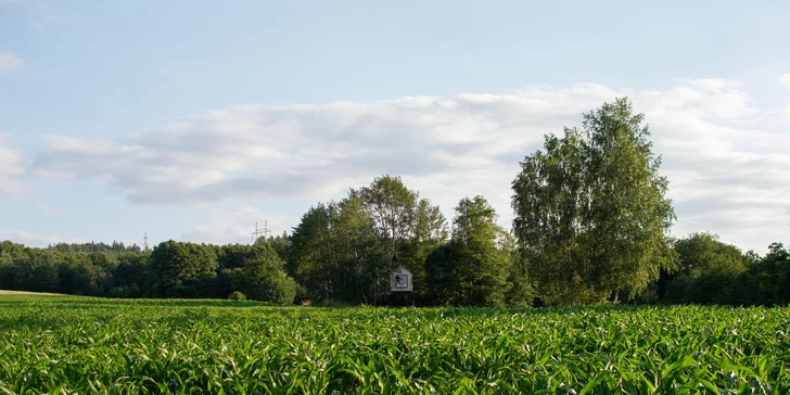 Netradičný pobyt vo vybavenom posede pri Žďárských vrchoch a Železných horách až pre 5 osôb