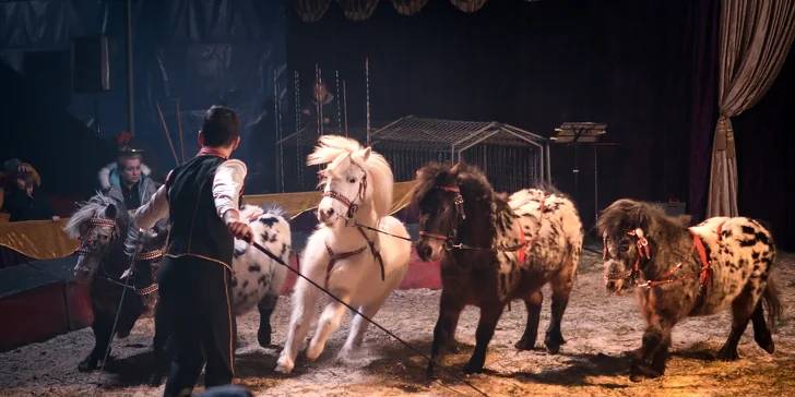 Cirkus Metropol v Senci, Trnave či v Bratislave: motorkárska šou, akrobati, klauni aj exotické zvieratá