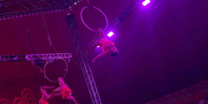 Cirkus Metropol v Senci, Trnave či v Bratislave: motorkárska šou, akrobati, klauni aj exotické zvieratá