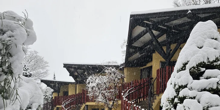 Afrika vo Dvore Kráľovej: 4* hotel v Safari Parku s raňajkami a vstupom do safari