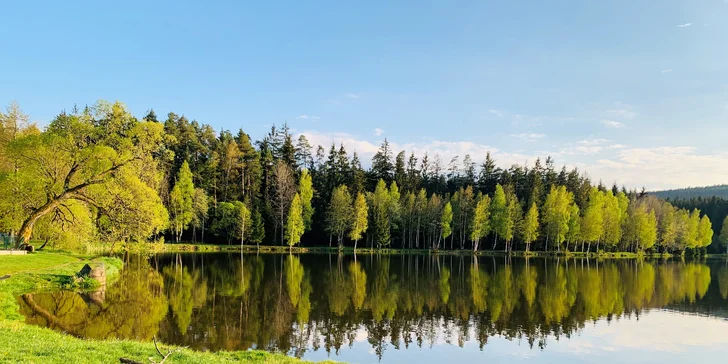 Pobyt v rozprávkovom Podlesí: izba Lux, polpenzia, bazén aj wellness