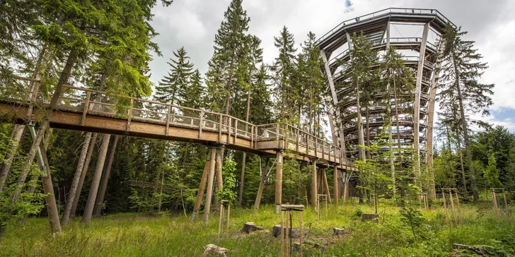 Pobyt v Janských Lázňach pri lanovke: raňajky alebo polpenzia aj vstup na Chodník korunami stromov