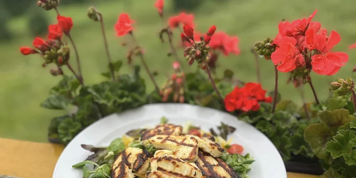 Pobyt v Janských Lázňach pri lanovke: raňajky alebo polpenzia aj vstup na Chodník korunami stromov