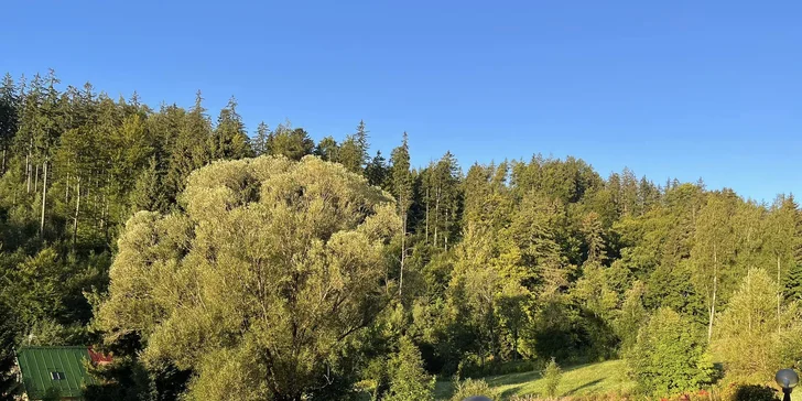 Pobyt v Janských Lázňach pri lanovke: raňajky alebo polpenzia aj vstup na Chodník korunami stromov