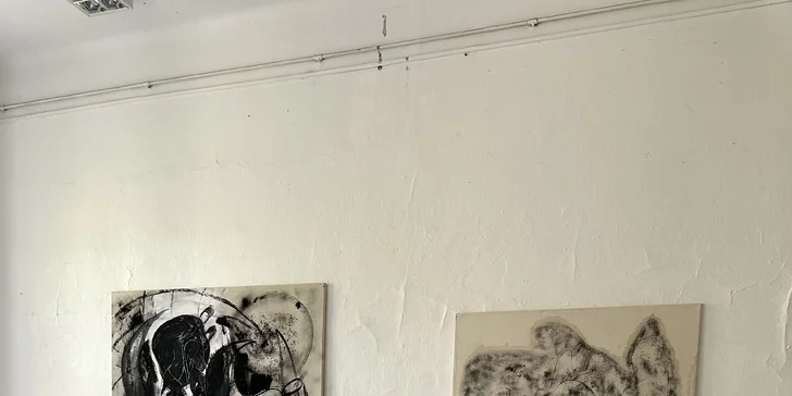 Zážitkové maľovanie pre 1 alebo 2 osoby: akryl, akvarel, pastely a ďalšie