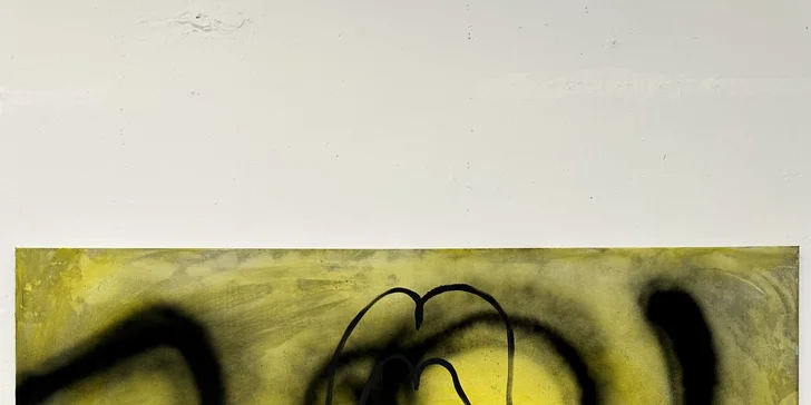 Zážitkové maľovanie pre 1 alebo 2 osoby: akryl, akvarel, pastely a ďalšie