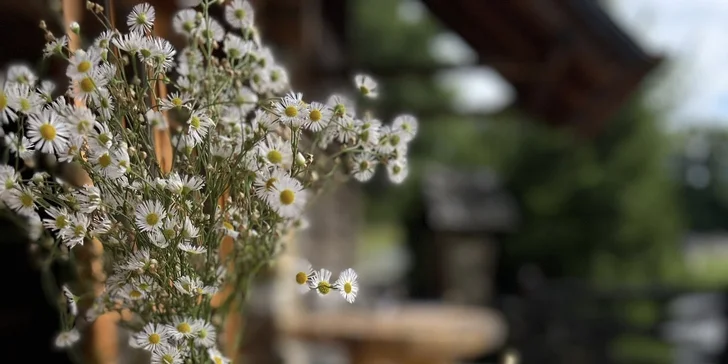 Rozprávkové ubytovanie v šumavskej zrubovej chate: výhľad na Kráľovský Hvozd, možnosť raňajok