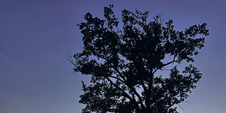 Romantický únik do šumavských lesov: plne vybavený tiny house, raňajky v penzióne