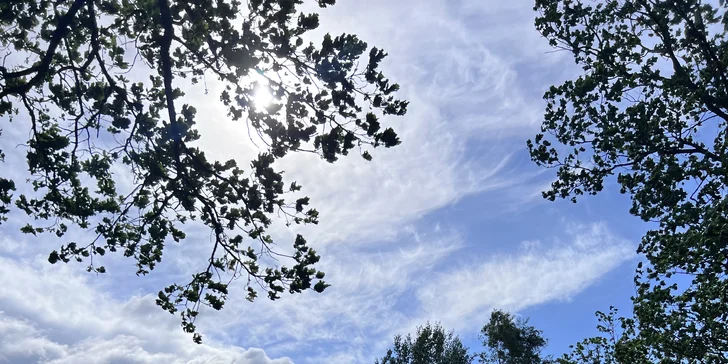 Romantický únik do šumavských lesov: plne vybavený tiny house, raňajky v penzióne