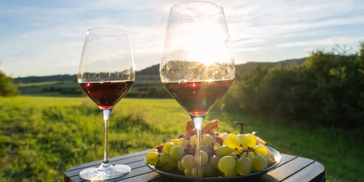 Glamping v modernom Tiny house pri Semiloch pre pár aj rodinu