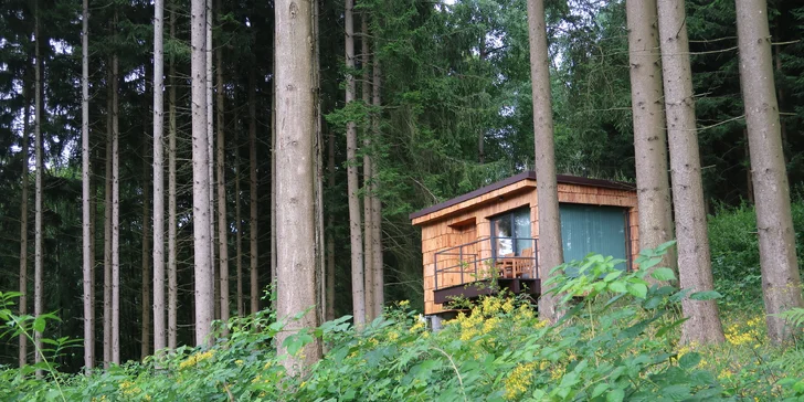 Romantický únik do šumavských lesov: plne vybavený tiny house, raňajky v penzióne