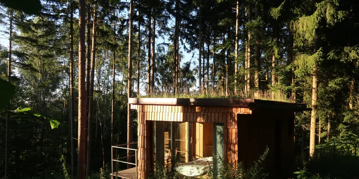 Romantický únik do šumavských lesov: plne vybavený tiny house, raňajky v penzióne