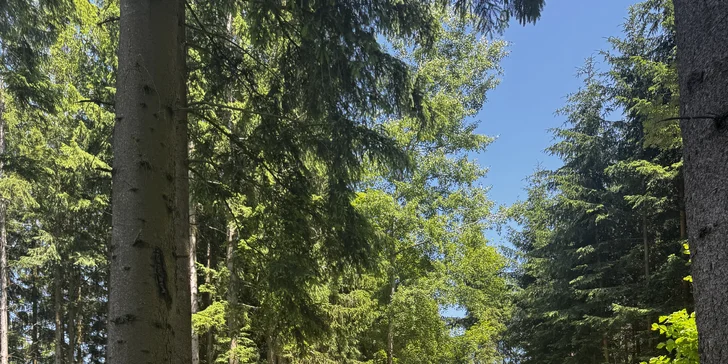 Romantický únik do šumavských lesov: plne vybavený tiny house, raňajky v penzióne