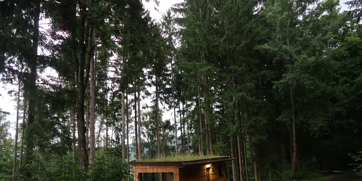 Romantický únik do šumavských lesov: plne vybavený tiny house, raňajky v penzióne
