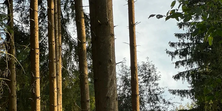 Romantický únik do šumavských lesov: plne vybavený tiny house, raňajky v penzióne