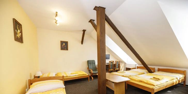 Aktívny pobyt v Prčici pre 2–4 osoby: raňajky, ihrisko, telocvičňa aj požičovňa bicyklov