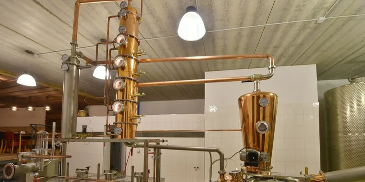 Relax pri Českom Krumlove: luxusný statok s vlastným pivovarom a čokoládovňou, strava a bazén