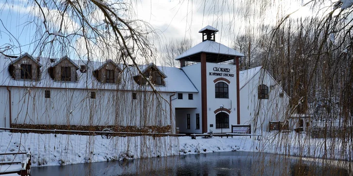 Relax pri Českom Krumlove: luxusný statok s vlastným pivovarom a čokoládovňou, strava a bazén