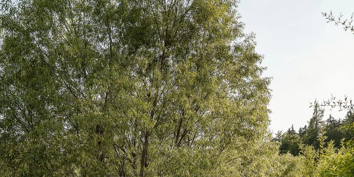 Glampingová kupola v prírode Krušných hôr s kúpacou kaďou pre dvoch