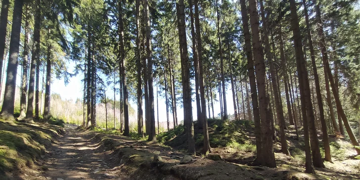 Pobyt v Jáchymove v Krušných horách: ubytovanie v izbách alebo apartmánoch