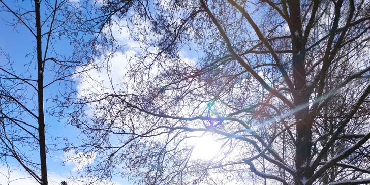 Romantika na brehu rybníka: dokonalý oddych v útulnej maringotke, kúpele v kmeni jaseňa