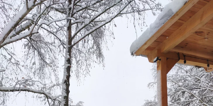 Romantika na brehu rybníka: dokonalý oddych v útulnej maringotke, kúpele v kmeni jaseňa