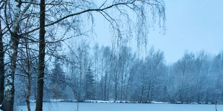 Romantika na brehu rybníka: dokonalý oddych v útulnej maringotke, kúpele v kmeni jaseňa