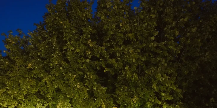 Romantický pobyt v Liberci: Láskavý domček s terasou, grilom aj vírivkou