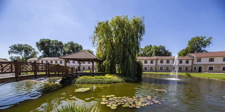 Dámska jazda pre 2 – 4 osoby: polpenzia s moravským prívlastkovým vínom a proseccom, wellness a procedúry