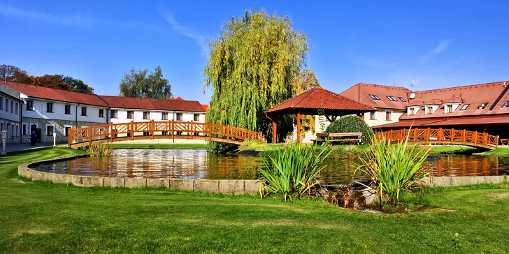 Dámska jazda pre 2 – 4 osoby: polpenzia s moravským prívlastkovým vínom a proseccom, wellness a procedúry